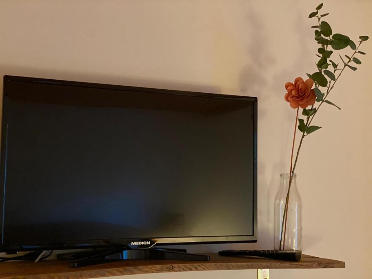 Alpen Apartement Χάλστατ Εξωτερικό φωτογραφία